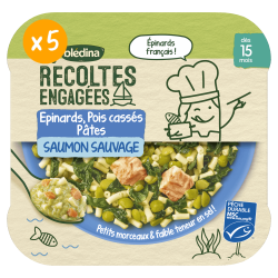 Les Récoltes Engagées - Epinards Pois cassés Saumon Sauvage & Pâtes étoiles- Lot x5 - Dès 15 mois - Face