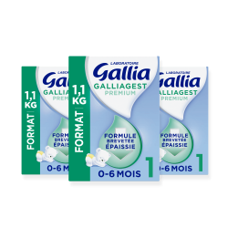Bag in Box - Galliagest Premium 1er âge - 1,1kg - Lot