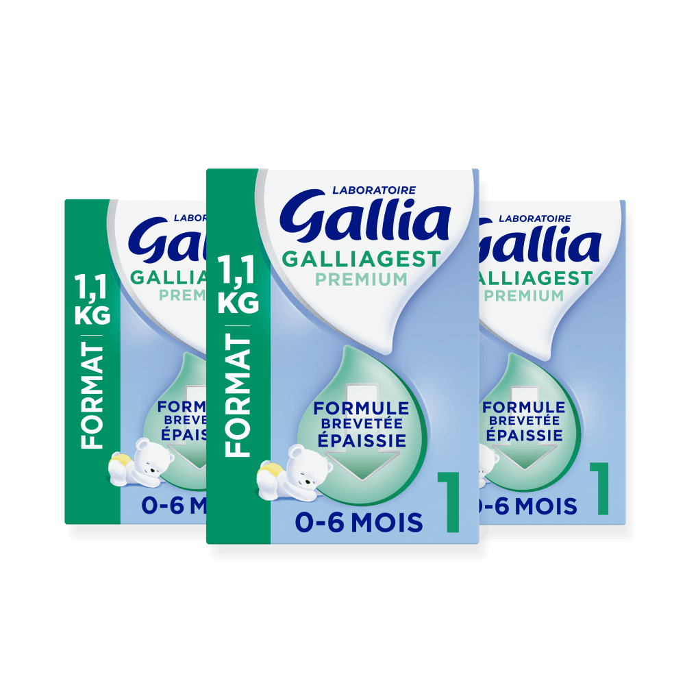 Bag in Box - Galliagest Premium 1er âge - 1,1kg - Lot